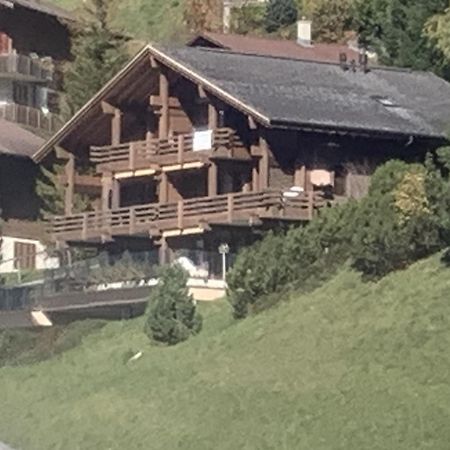 Chalet Orchis Hasliberg Exterior foto